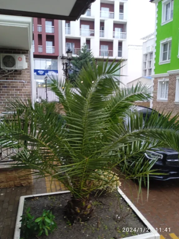 Апартамены вблизи моря