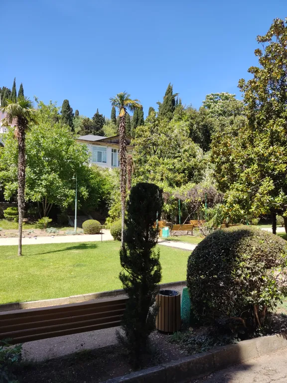 Большая студия с видом на гору Ай-Петри