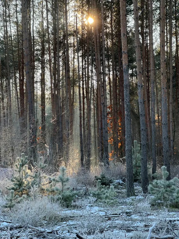 Дом с баней и бассейном