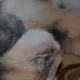 Ирина Кинжаева
