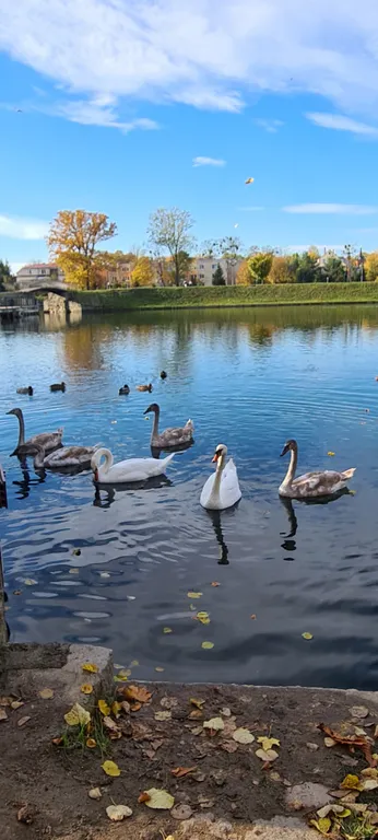 Евродвушка с видом на храм
