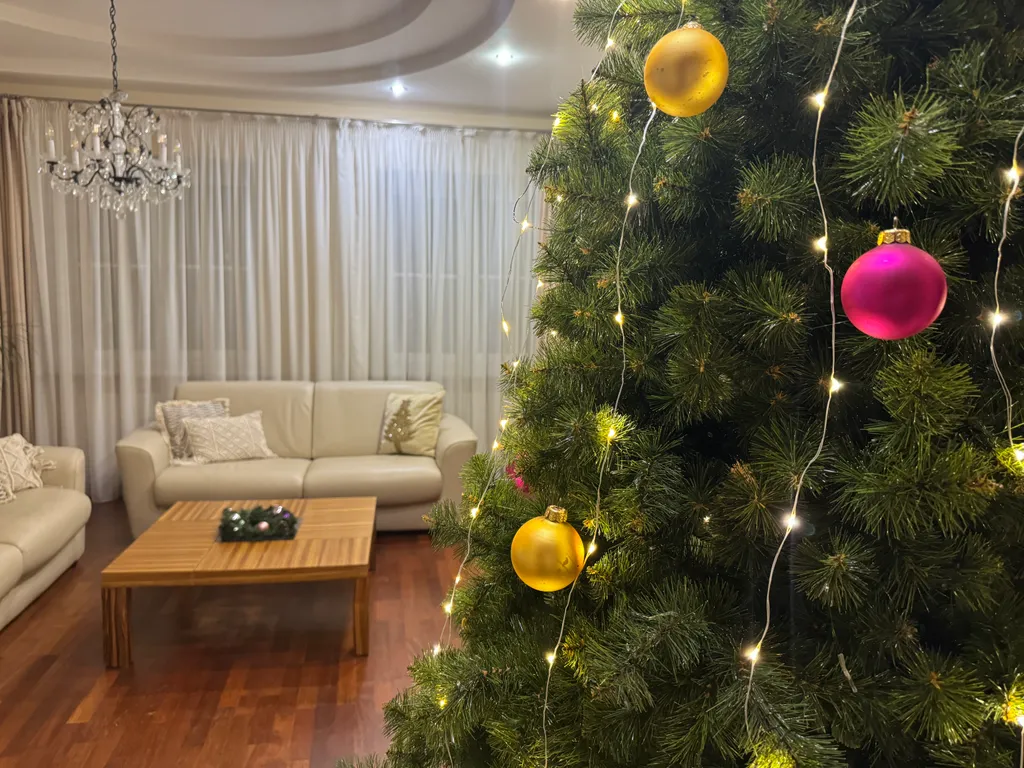 Просторная квартира на новый год с ёлкой в самом центре + 2 парковки