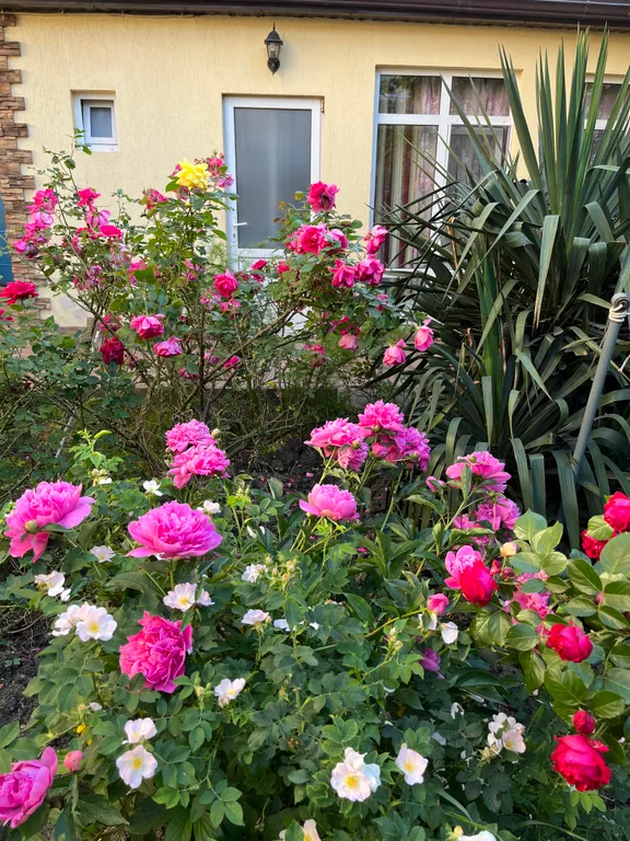 Двухкомнатный номер с кухней и бассейном