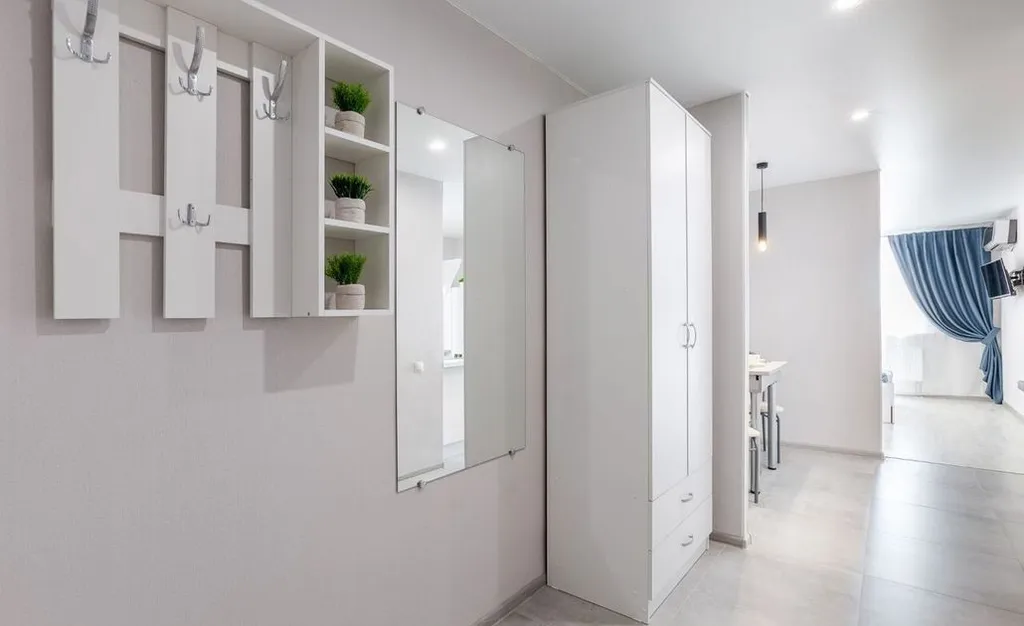 Апартаменты Квартиркаплаза у Самарских терм, проекционный экран