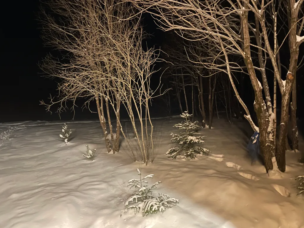 Коттедж 1-комнатный Дом — Шаховская