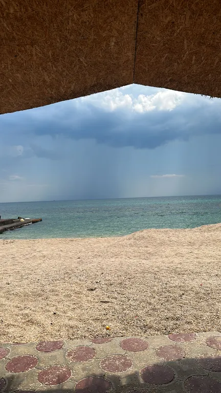 Апартаменты на берегу черного моря 1 линия