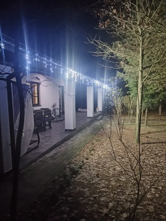 Уютный дом в лесу на 3 семьи