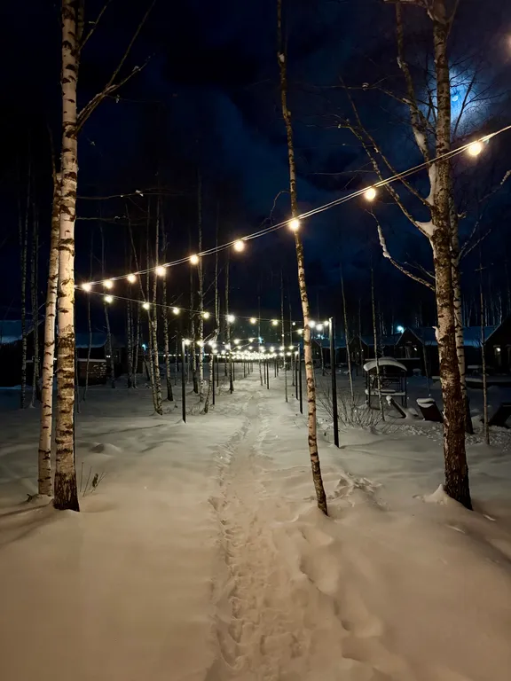 Дом 452 с тремя спальнями, русской баней и чаном