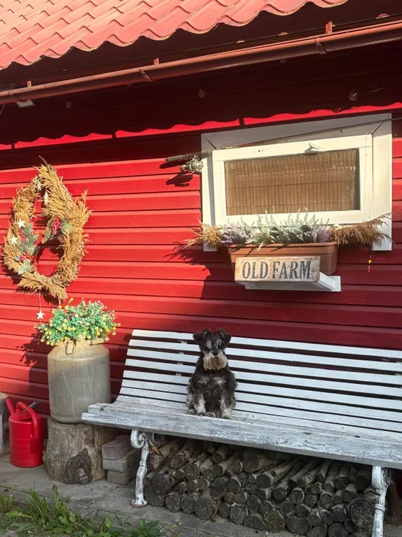 Уютный жилой зимний дом в сказочно живописном месте