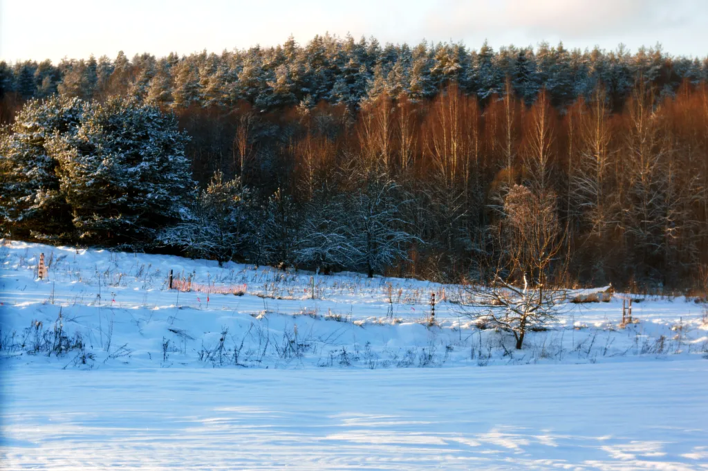 Агроусадьба у Топтыгина