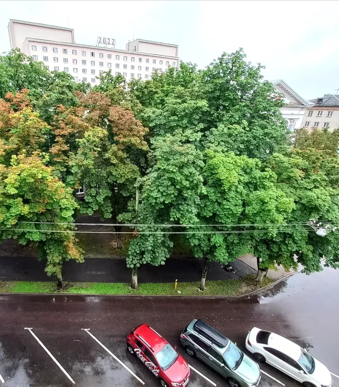 Тихий уголок для Вашего отдыха в центре