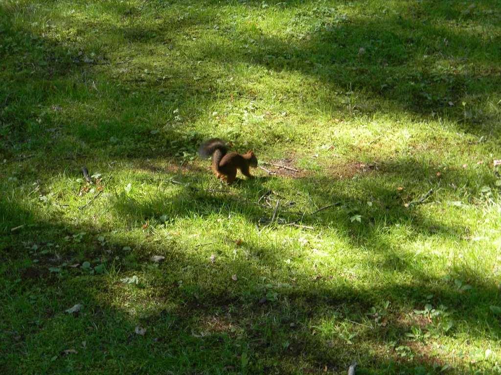 Стильная Loft студия