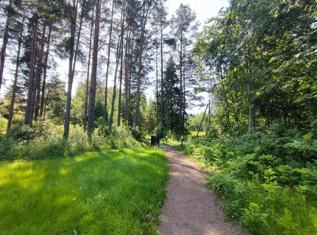 Уютный уголок у Игоры