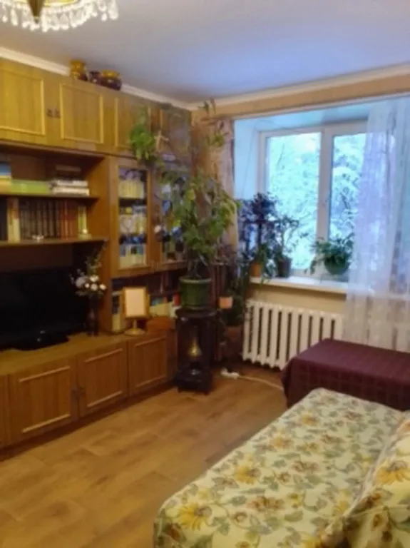 Уютная квартира в тихом месте в стиле ретро СССР — аренда посуточно в Пушкинские Горы