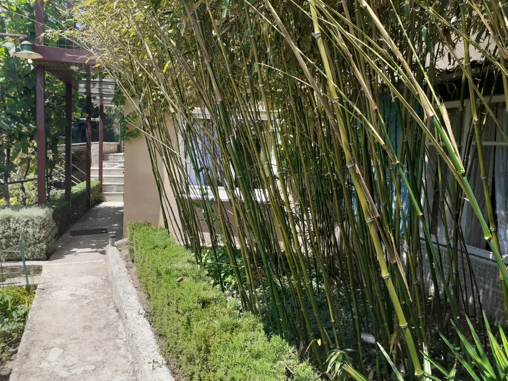 Уютный номер с видом на море