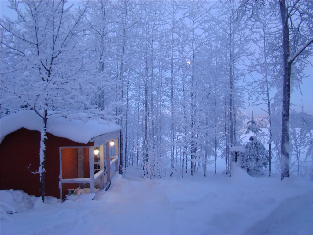 Коттедж у горнолыжного курорта Игора