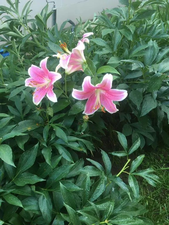 Уютный коттедж на берегу реки Волга