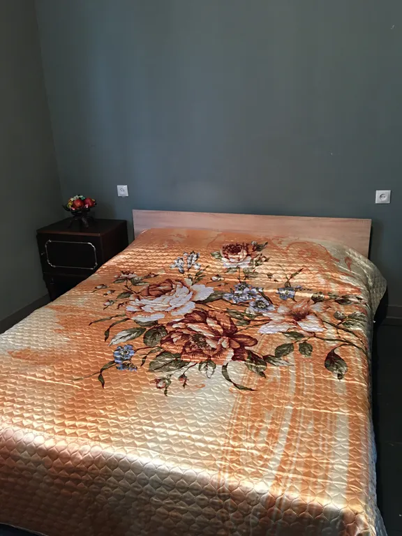 Квартира Комната — аренда посуточно в Гумиста