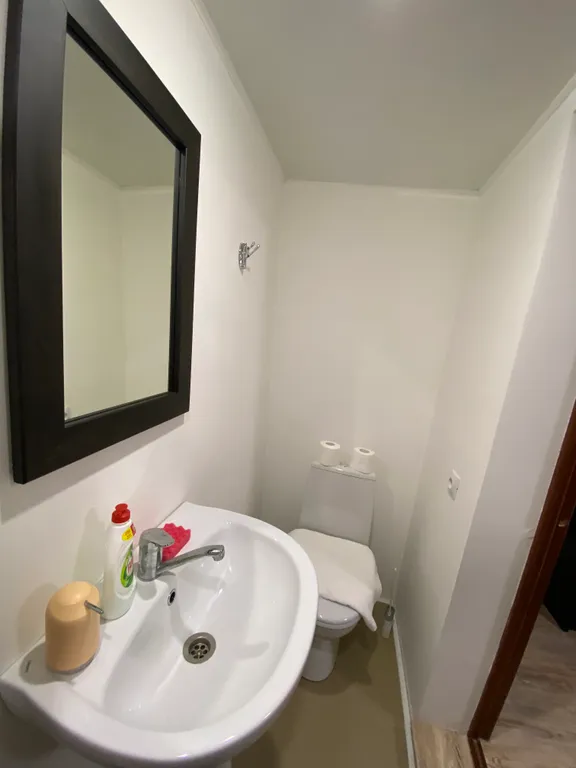 Уютная студия в центре города