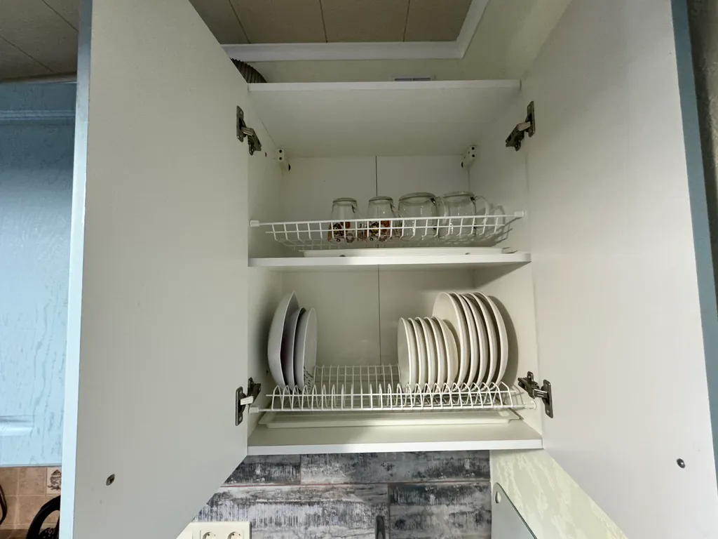 Мяу-квартира на Курортном проспекте