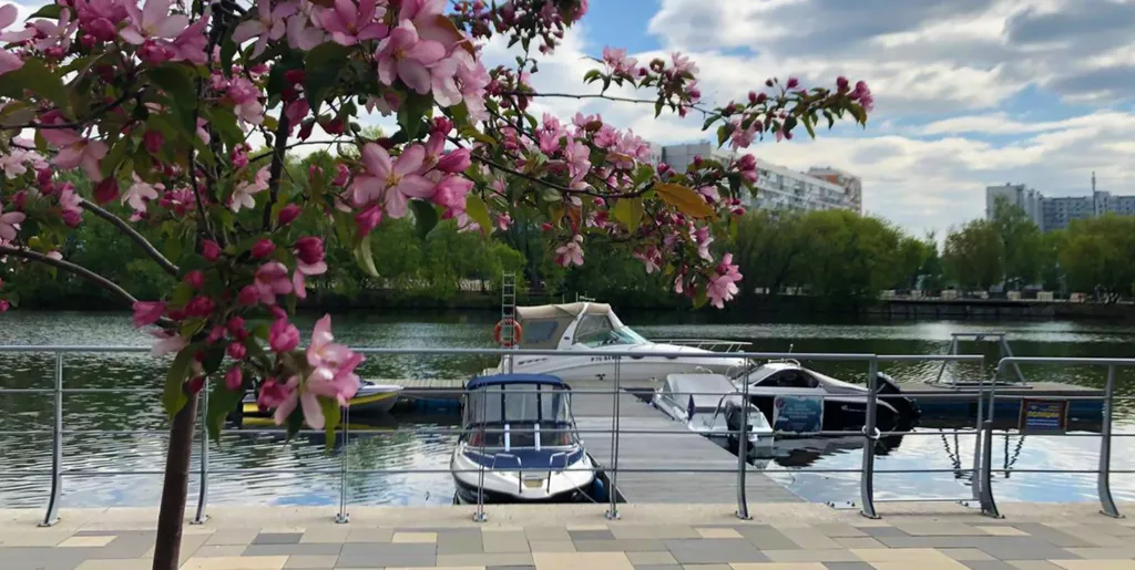 Квартира Квартира Евродвушка в современном ЖК на воде, высокий этаж, вид на центр Москвы — Москва