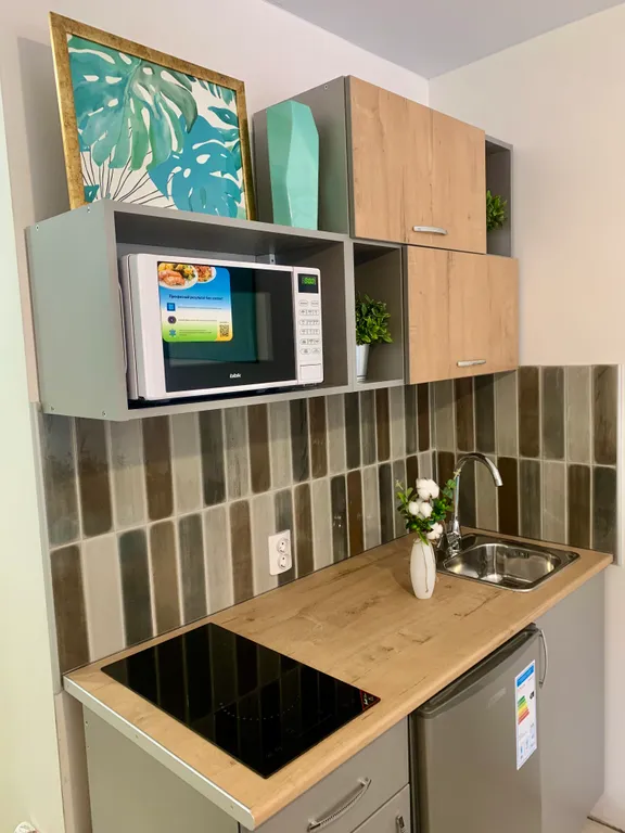 Студия Монстера рядом с жд вокзалом и цирком