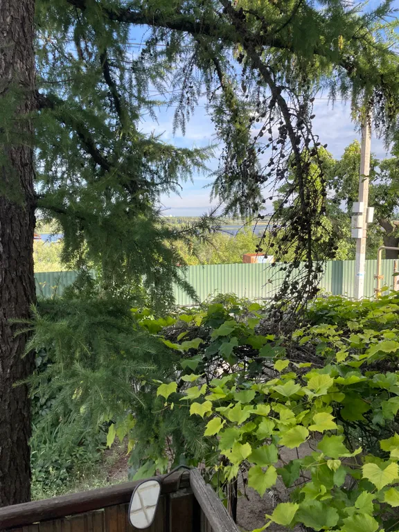 Уютная Зеленая дача c видом на Волгу