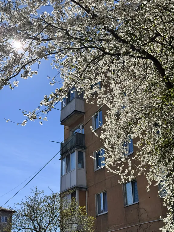 Самый центр и верхнее озеро