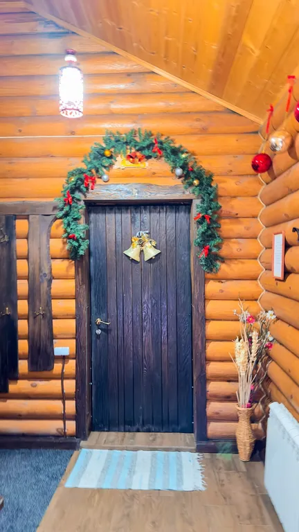 Гуси Лебеди