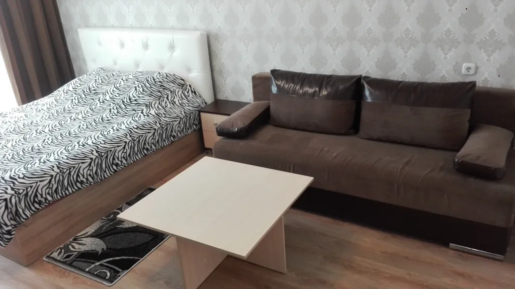 Однокомнатная квартира с хорошим ремонтом