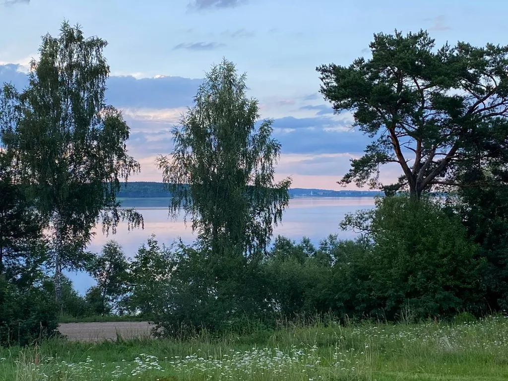 Дом в деревне