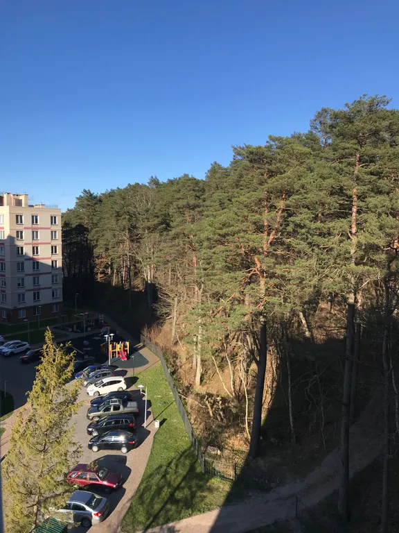 Апартаменты с видом на лес