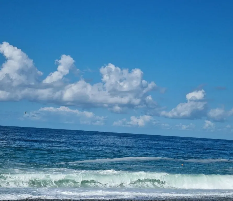 Квартира на Балтийском море