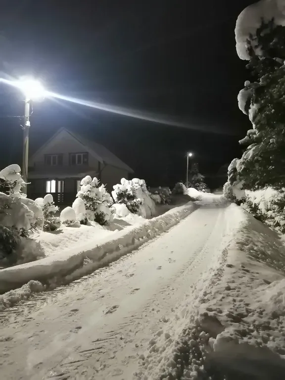 Уютный уголок у леса