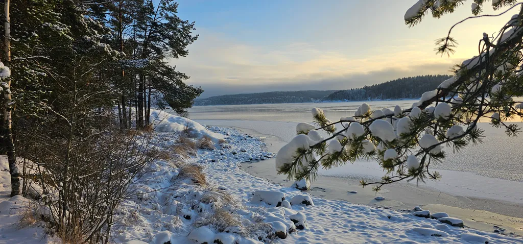 Лесной островок - дом в тихом уютном месте Карелии