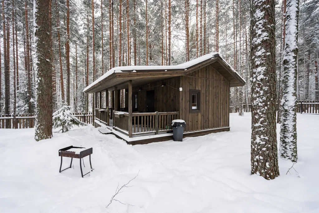 Коттедж Коттедж в сосновом лесу — Лебяжье