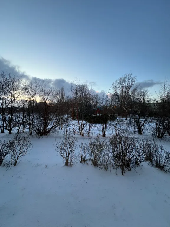 Квартира Однокомнатная квартира у моря — Пионерский