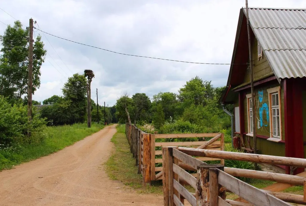 Усадьба Синий кот и лаванда