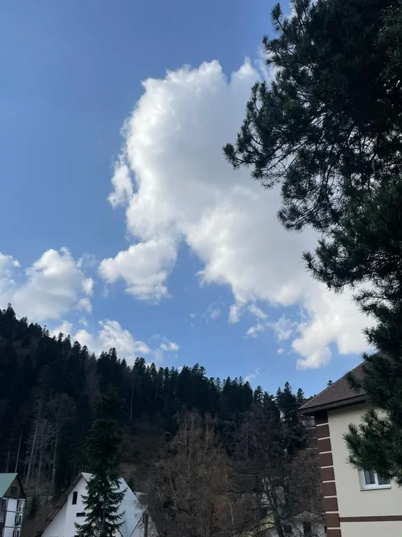 Уютный номер в Домбае с вкусными и сытными завтраками