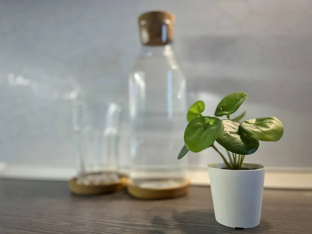 Уютная студия в сердце северодвинска с бесконтактным заселением