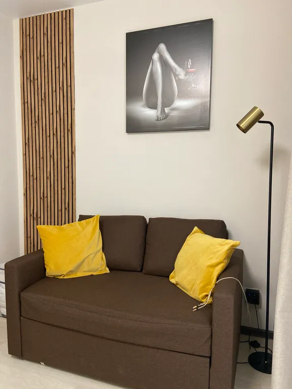 Квартира Квартира Amber Loft  ЖК Пушкин -  Студия — Екатеринбург