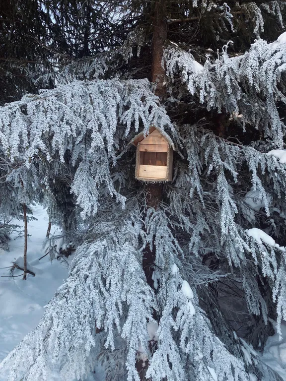 Уютный домик с панорамным видом на лес