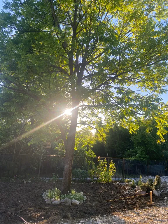 Уютный домик