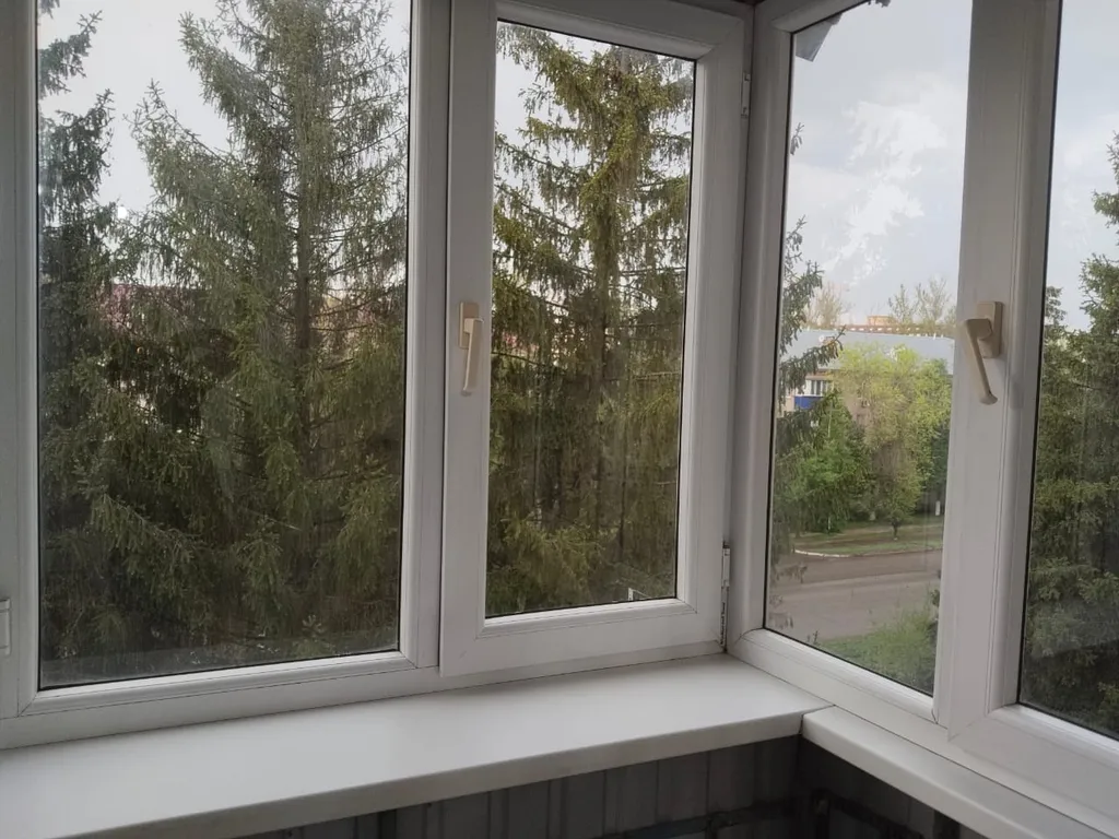 Квартира с видом на ели