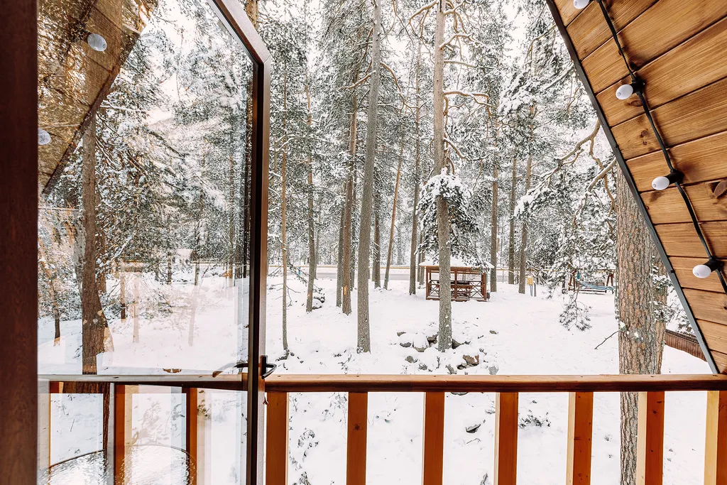 Коттедж с бассейном в лесу