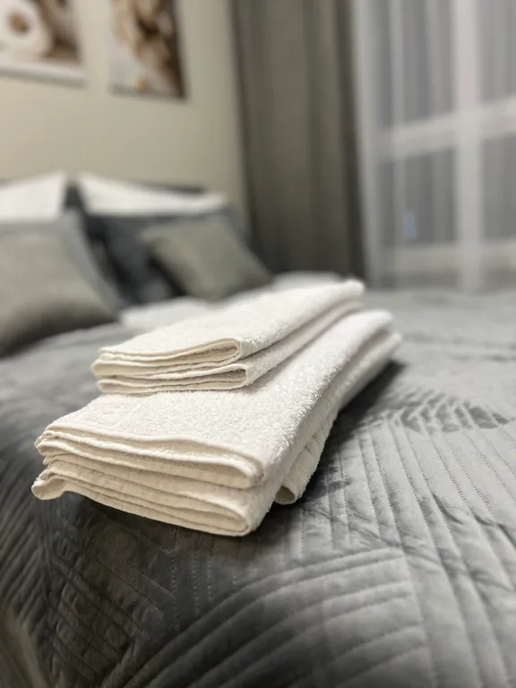 Уютные апартаменты со всем необходимым