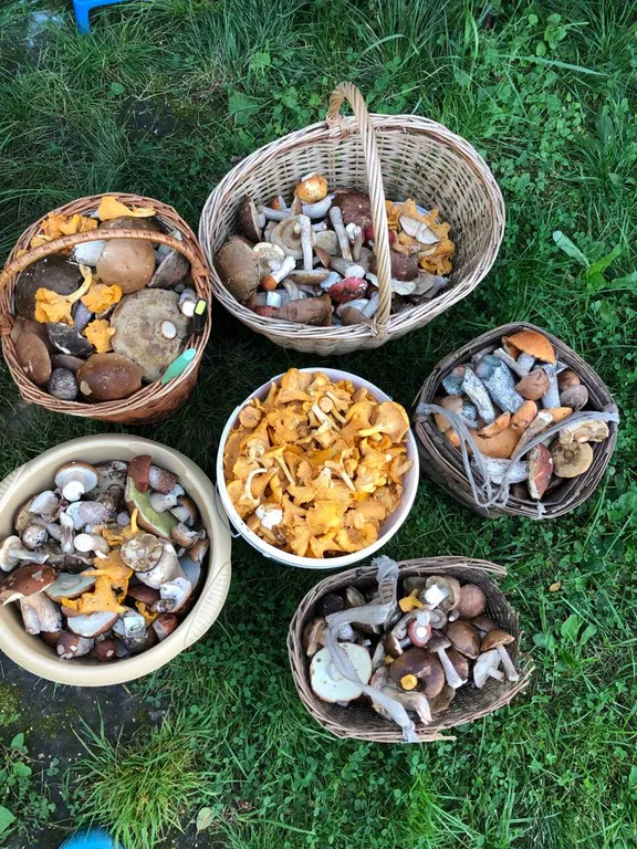 Дом на берегу озера