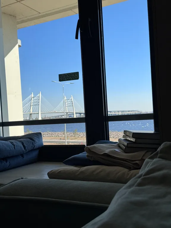 Квартира Фантастическая квартира с видом на Финский залив и лебедями из окна — Санкт-Петербург