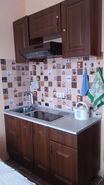 Квартира Уютная студия с миникухней и балконом — Нижняя Хобза