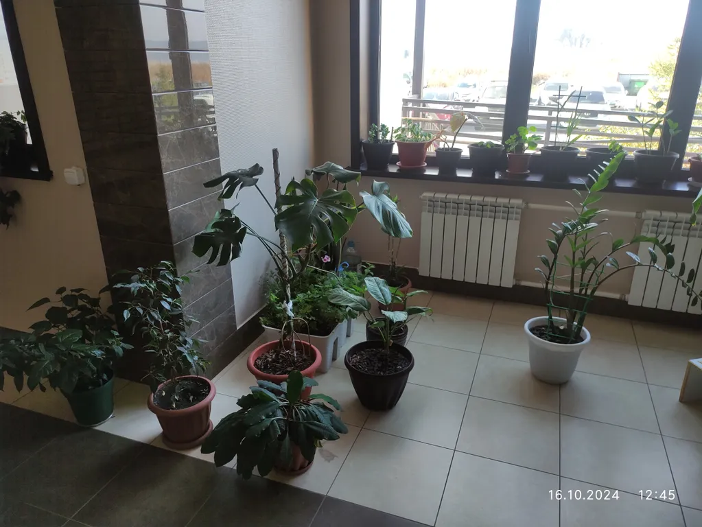 Уютная студия в центре города